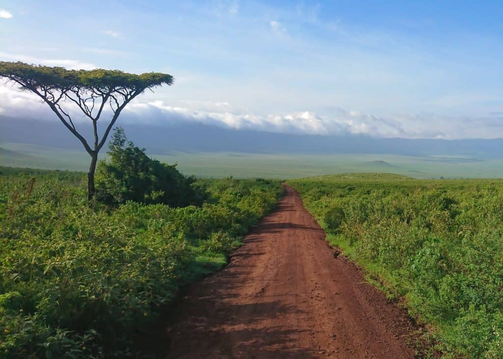 An American in Tanzania strides forward in her pre-school career