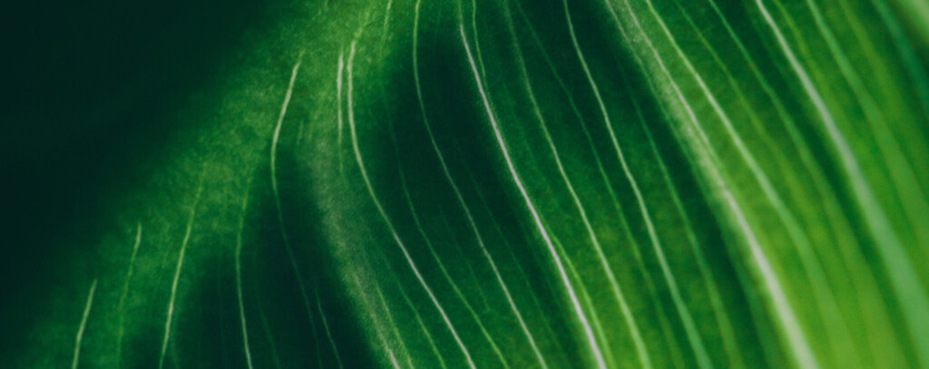 biology hero banner