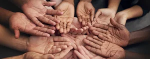 sociology online course
