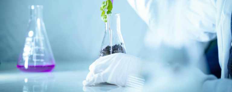 A plant cutting placed in a glass flask filled with soil in a laboratory setting, symbolising biological experimentation and environmental science.