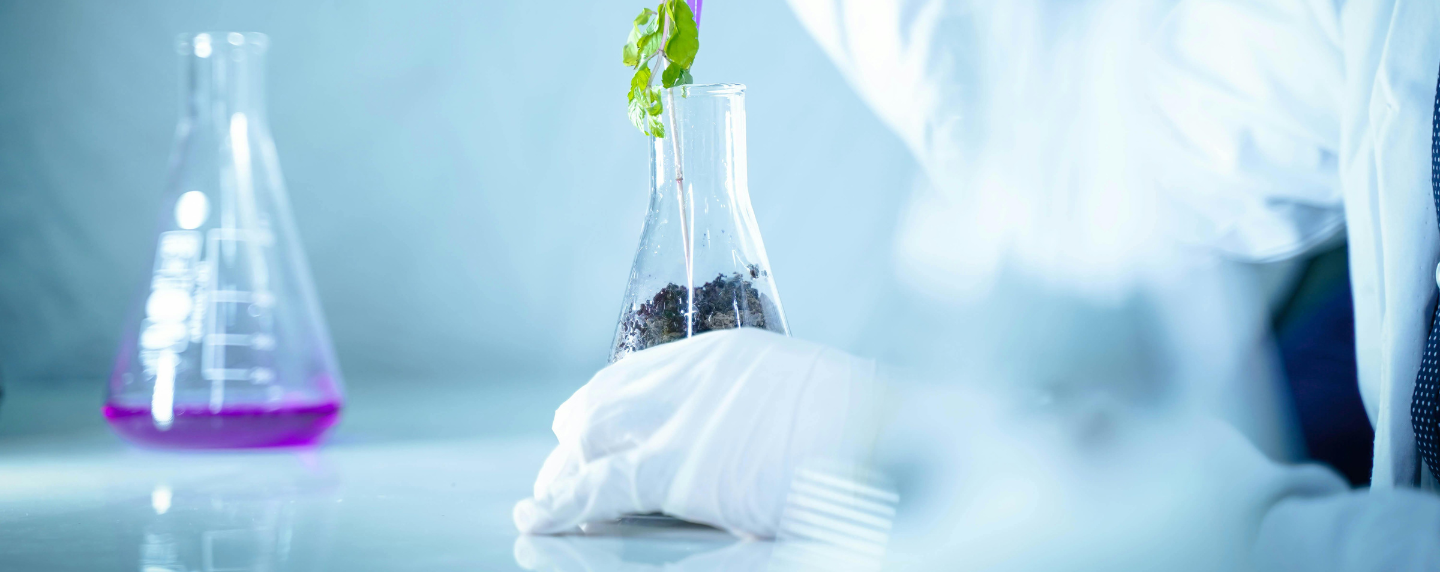 A plant cutting placed in a glass flask filled with soil in a laboratory setting, symbolising biological experimentation and environmental science.