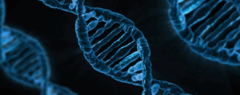 A close-up of a glowing DNA double helix, representing the study of life and biological processes.