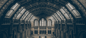 Interior view of a grand historical building with arched architecture and stained-glass windows, representing the study of history and heritage.