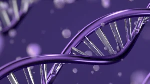 DNA strands, double helix