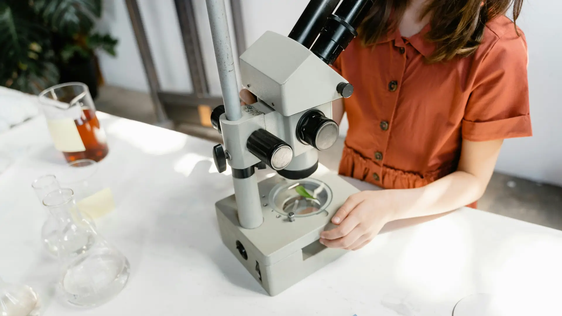 Student in a rust-red dress using a microscope to examine a leaf in a science lab setting, surrounded by beakers and scientific equipment.