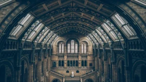 Interior view of a grand historical building with arched architecture and stained-glass windows, representing the study of history and heritage.
