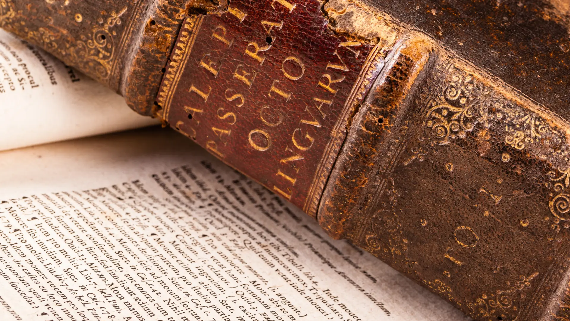 Ancient Latin Dictionary